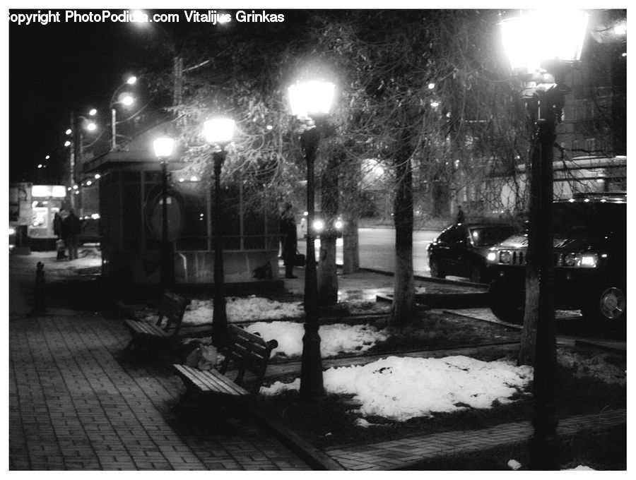 Automobile, Car, Vehicle, Bench, Intersection, Road, Lighting