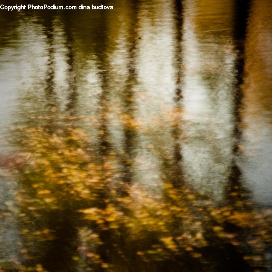 Outdoors, Ripple, Water, Field, Grass, Grassland, Plant