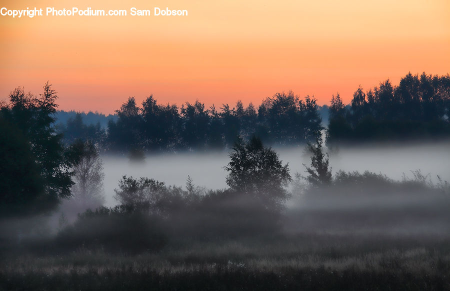 Dawn, Dusk, Sky, Sunrise, Sunset, Fog, Mist