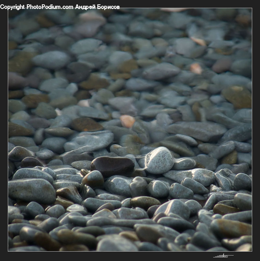 Pebble, Bean, Produce, Vegetable, Cobblestone, Pavement, Walkway
