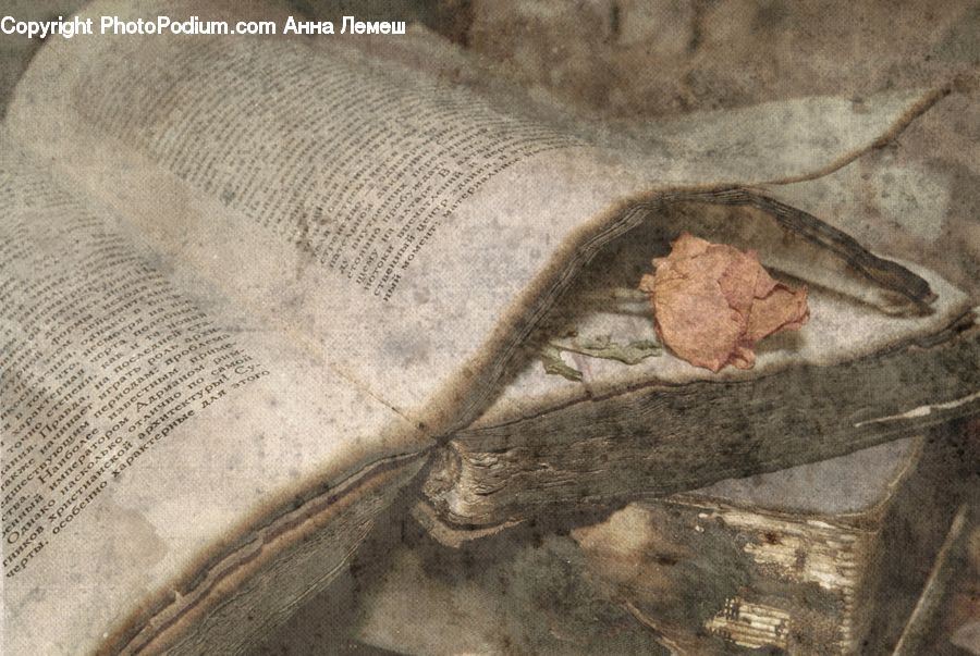 Outdoors, Sand, Soil, Cushion, Home Decor, Pillow, Rock