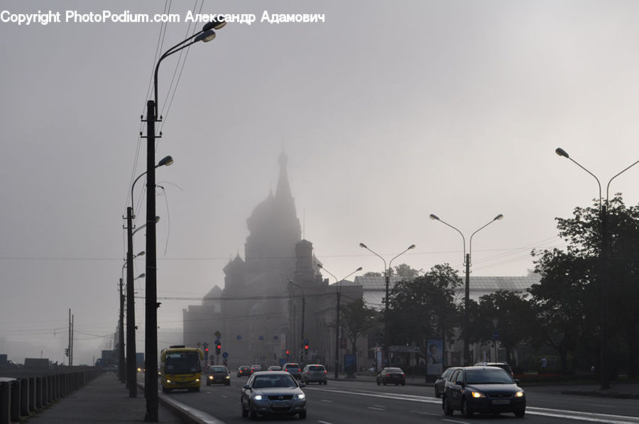 Plant, Potted Plant, Freeway, Road, Fog, Pollution, Smog