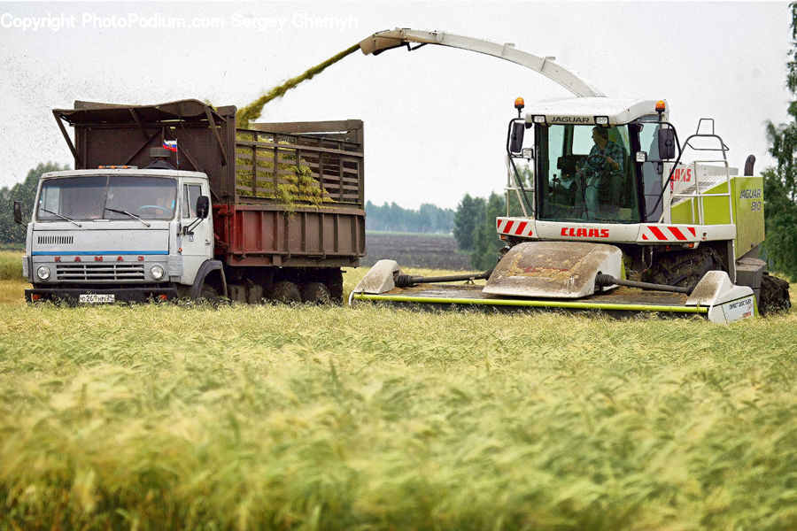 Car, Van, Field, Train, Vehicle, Plant, Potted Plant