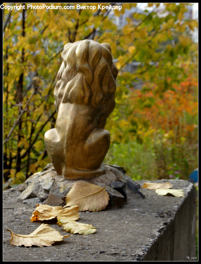 Art, Gargoyle, Statue, Sculpture, Amphibian, Toad, Wildlife