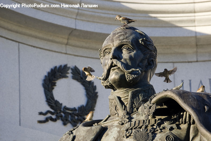 Bird, Art, Gargoyle, Statue, Modern Art, Carnival, Festival