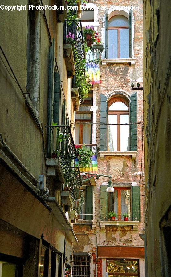 Plant, Potted Plant, Balcony, Brick, Alley, Alleyway, Road