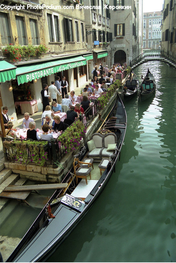 Boat, Gondola, Plant, Potted Plant, Chair, Furniture, Bazaar