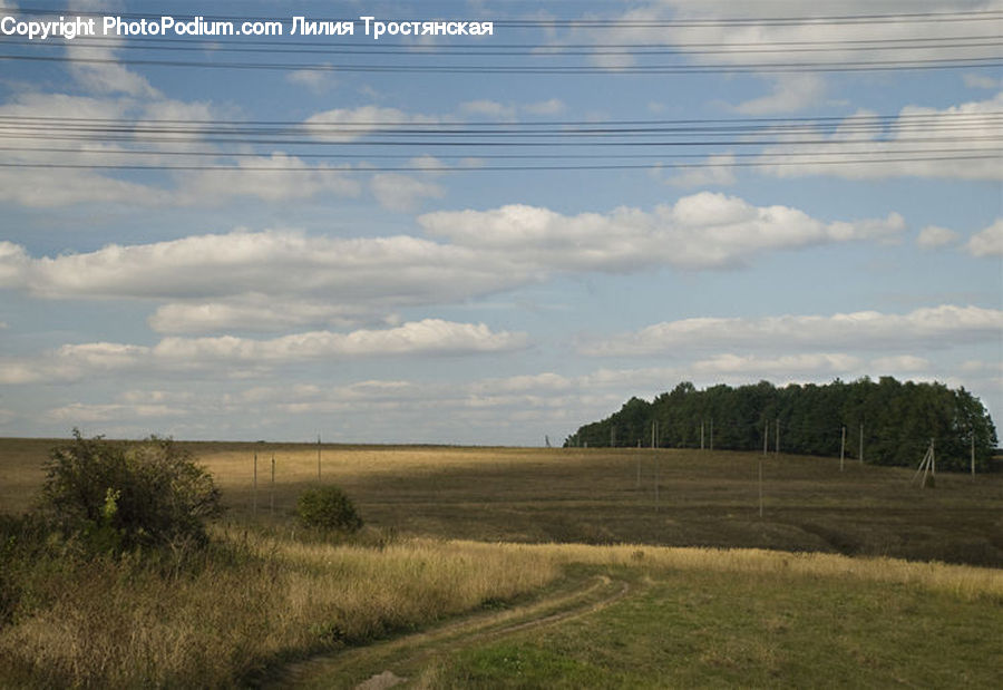 Field, Grass, Grassland, Land, Outdoors, Dirt Road, Gravel