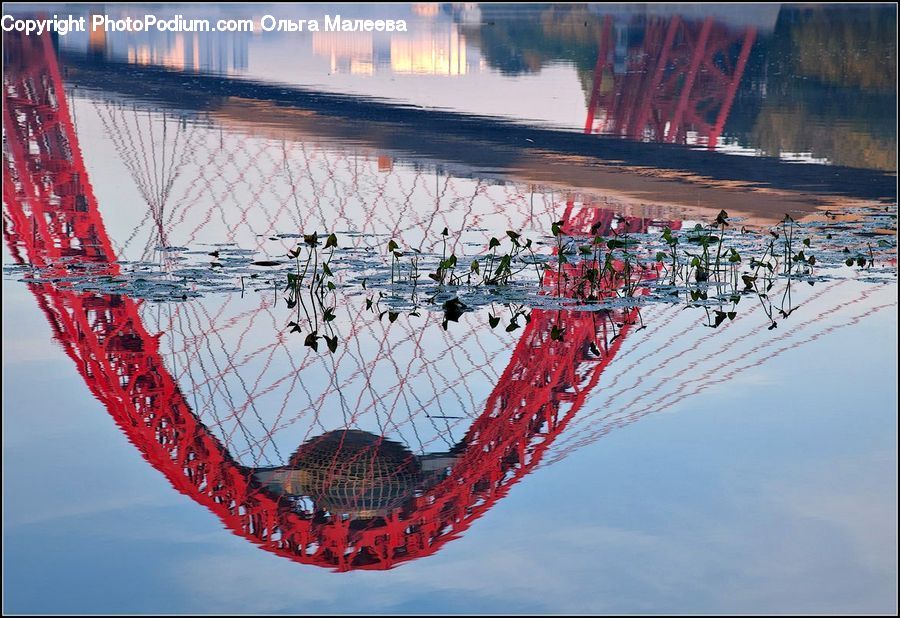 Bridge, Amusement Park
