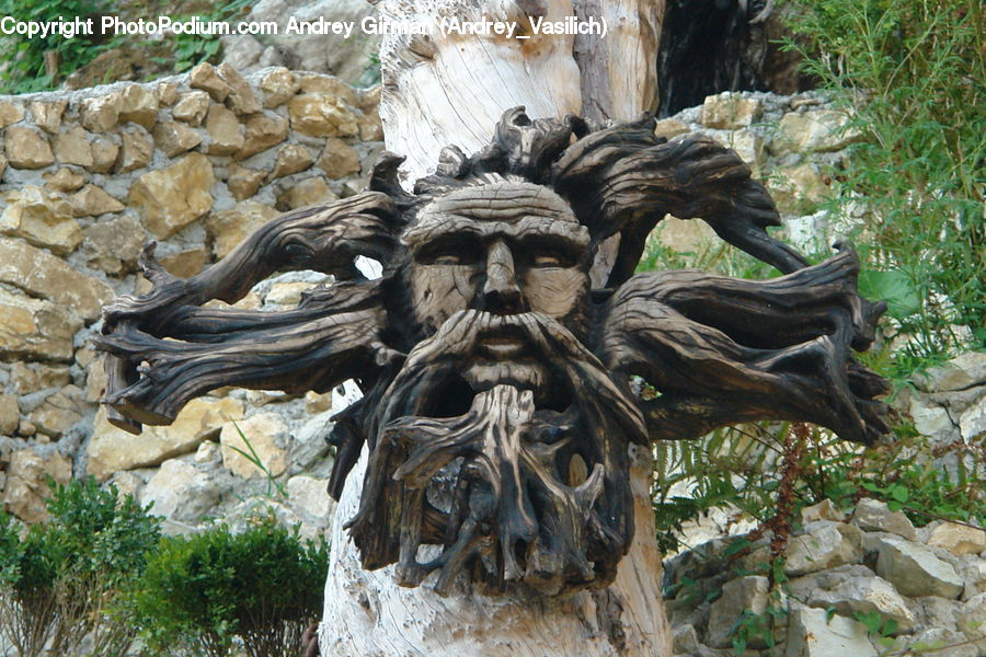 Art, Gargoyle, Statue, Sculpture, Plant, Potted Plant, Adventure