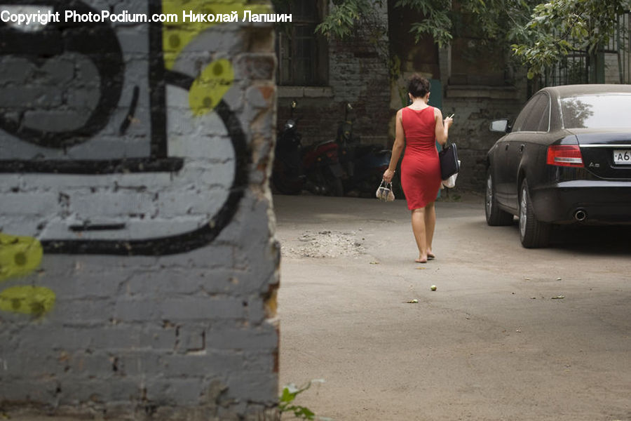 People, Person, Human, Plant, Potted Plant, Automobile, Car