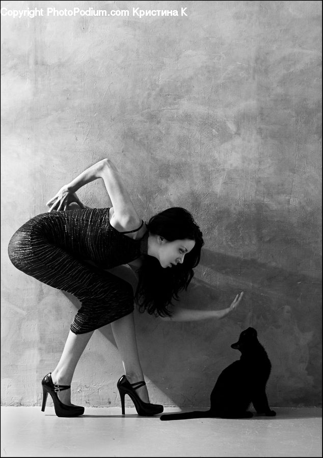 People, Person, Human, Dance, Dance Pose, Tango, Portrait