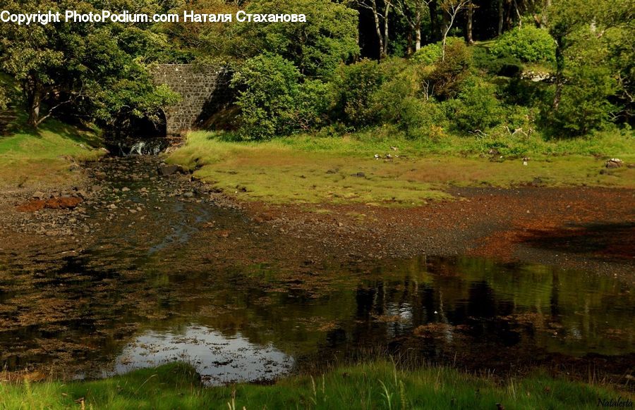Land, Marsh, Outdoors, Swamp, Water, Ruins, Pond