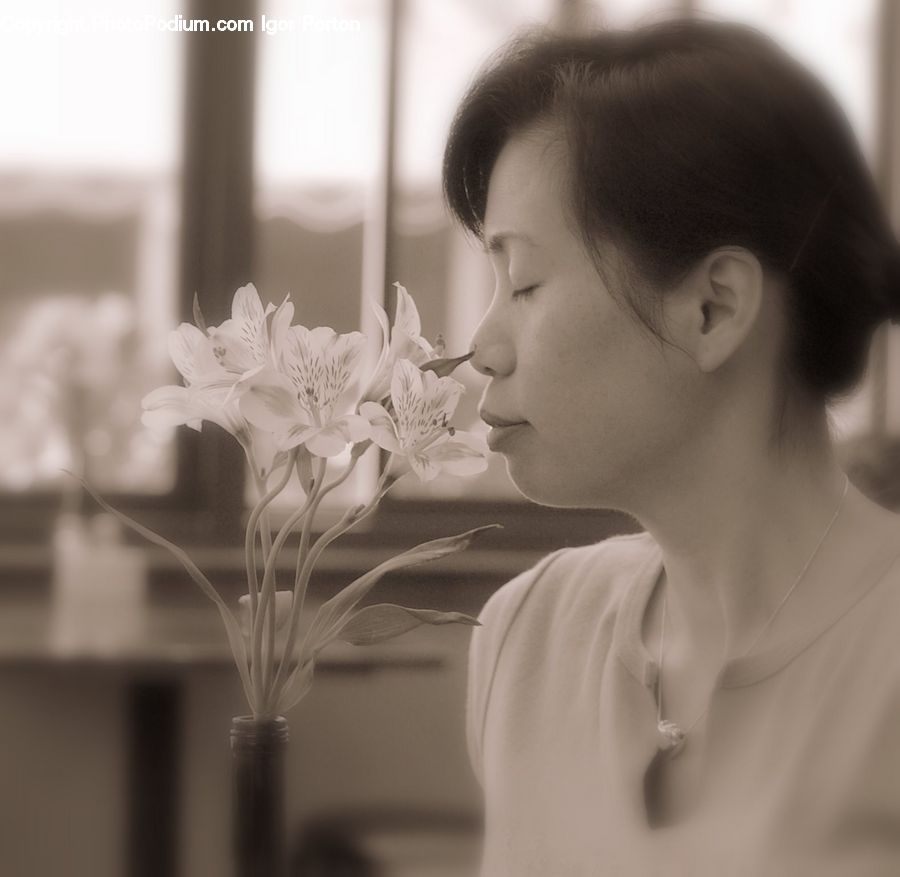 People, Person, Human, Flower, Flower Arrangement, Flower Bouquet, Portrait