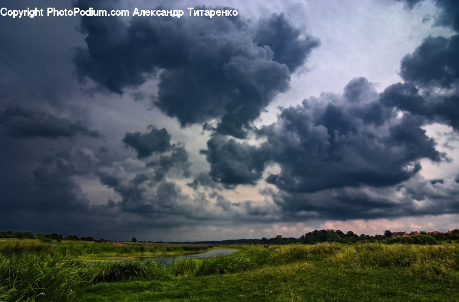 Cloud, Cumulus, Sky, Field, Grass, Grassland, Land