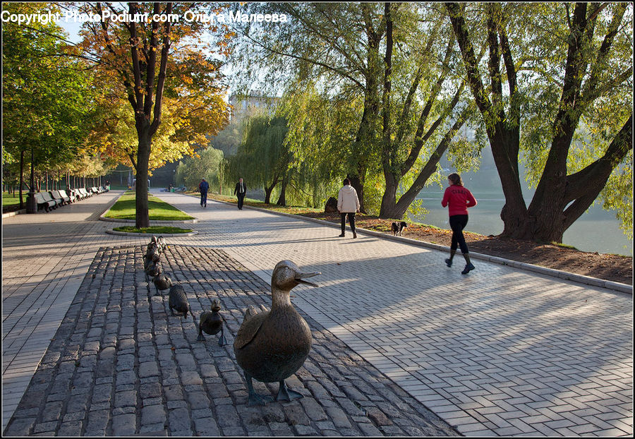 Bird, Waterfowl, Duck, Teal, Goose, Art, Modern Art