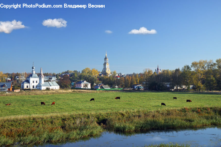 Countryside, Outdoors, Architecture, Church, Worship, Housing, Monastery