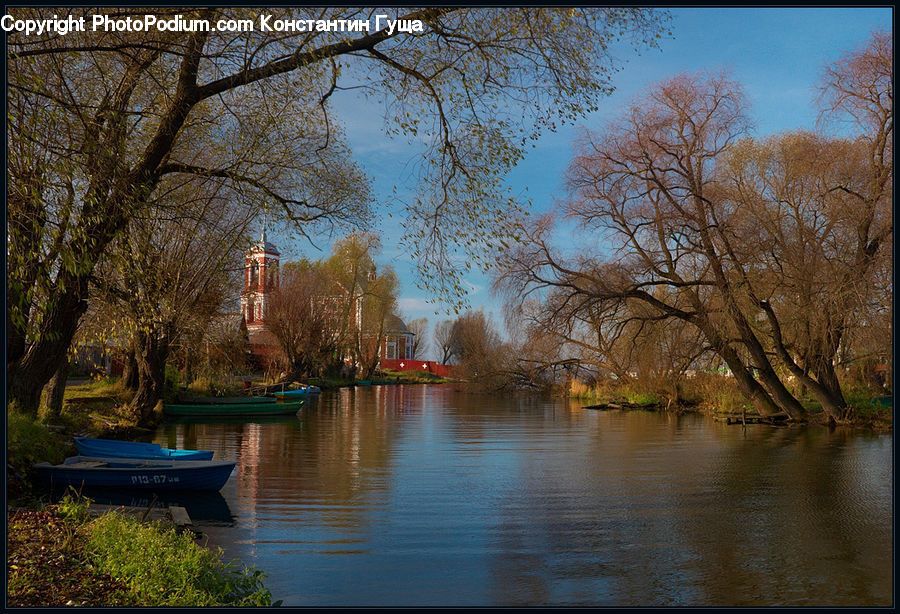 Boat, Watercraft, Landscape, Nature, Scenery, Plant, Tree