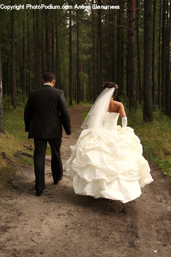 Human, People, Person, Bride, Gown, Wedding, Clothing
