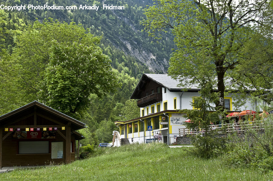 Building, Cottage, Housing, Cabin, Shelter, Shack, Hut