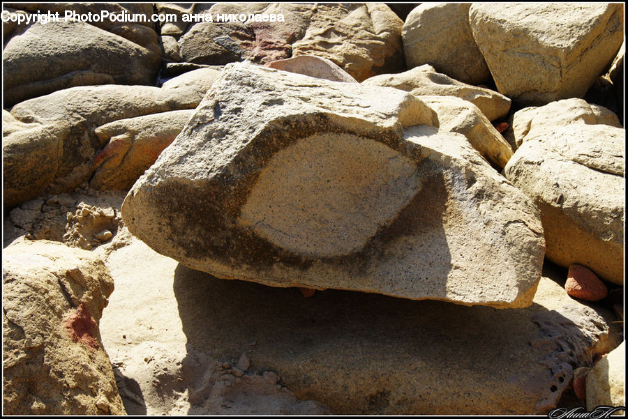 Rock, Rubble, Cliff, Outdoors, Soil, Sand, Animal