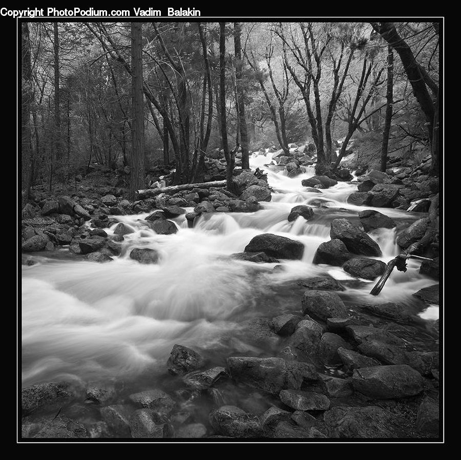 Creek, Outdoors, River, Water, Forest, Vegetation, Waterfall