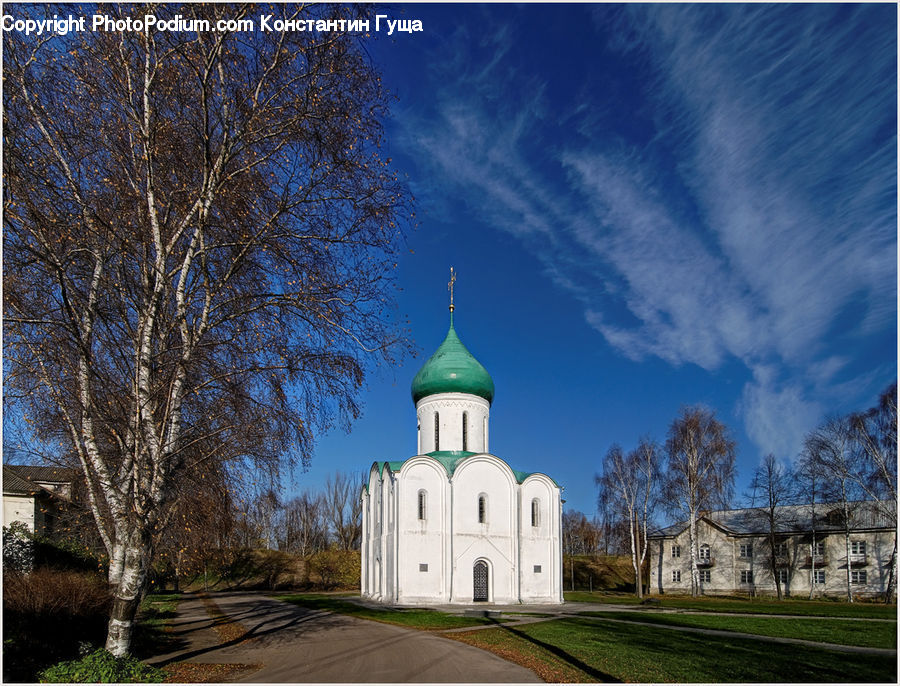 Birch, Tree, Wood, Architecture, Church, Worship, Bell Tower