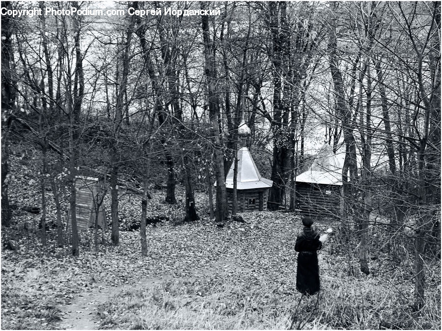 Forest, Grove, Land, Building, Hut, Log Cabin, Shack