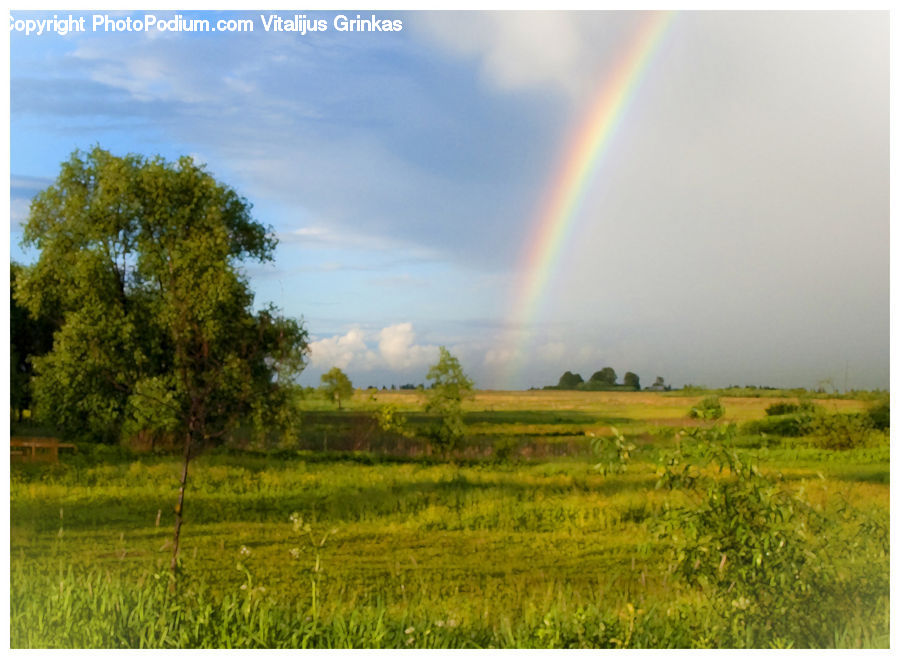 Field, Grass, Grassland, Land, Outdoors, Rainbow, Sky