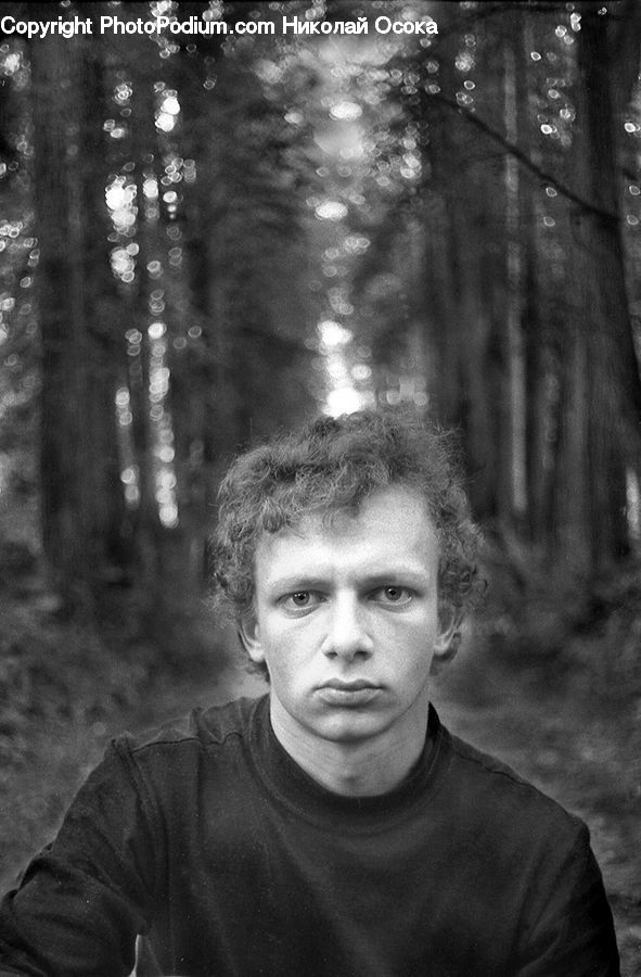 Human, People, Person, Portrait, Forest, Vegetation