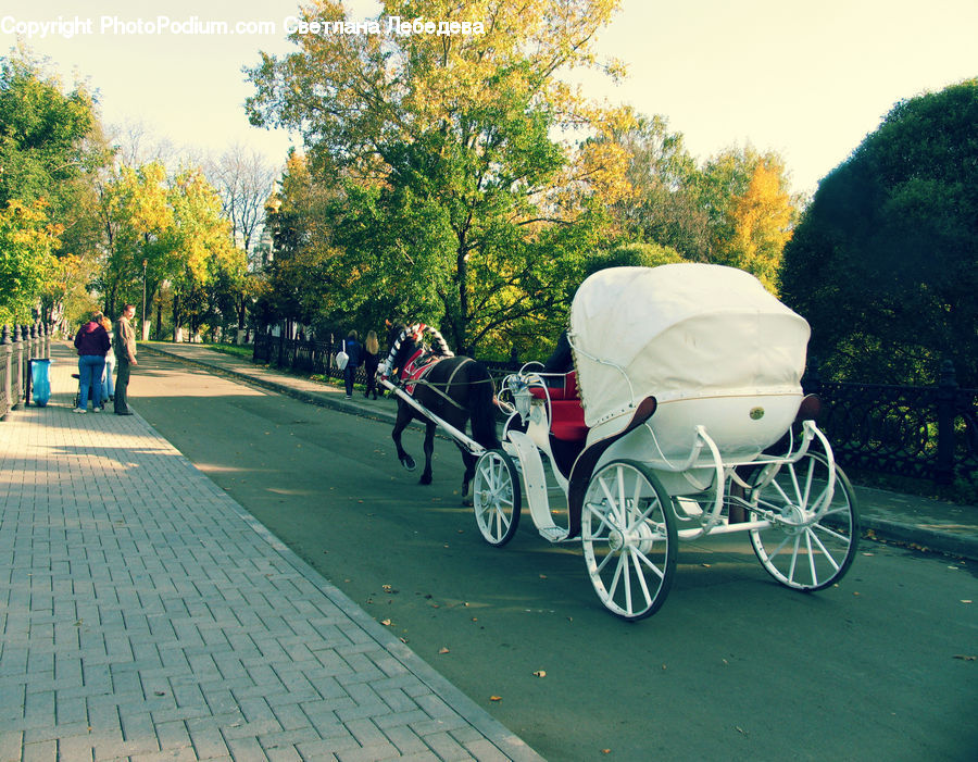 Carriage, Horse Cart, Vehicle, Animal, Horse, Mammal, Antique Car