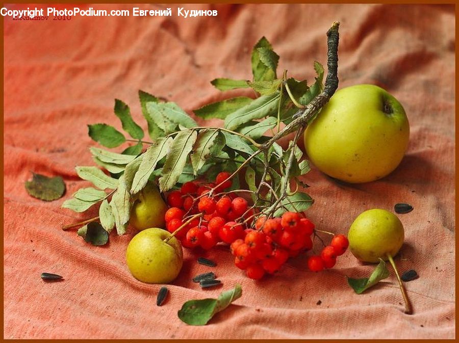 Apple, Fruit, Produce, Vegetable, Pear, Citrus Fruit, Orange