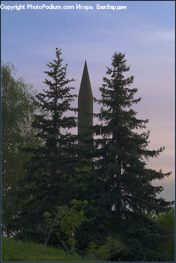 Conifer, Fir, Spruce, Wood, Architecture, Spire, Steeple