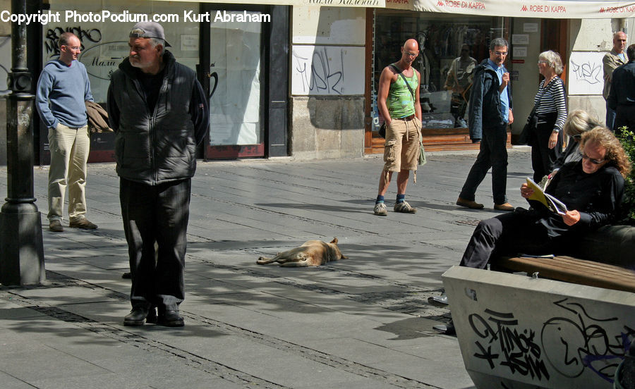 Human, People, Person, Bench, Shorts, Performer, Female