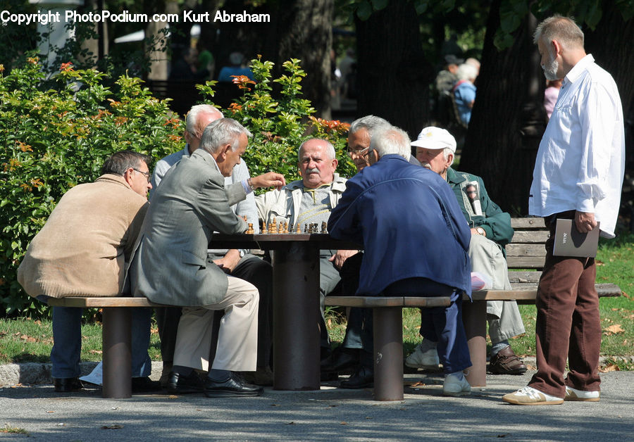 Human, People, Person, Park Bench, Bench