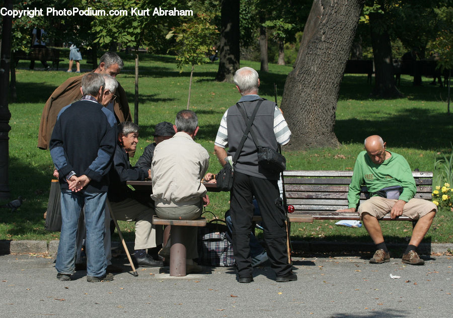 Human, People, Person, Bench, Park Bench, Leisure Activities, Bbq