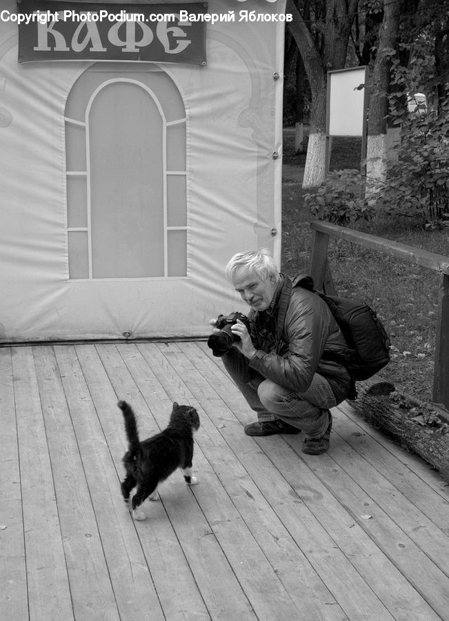 Person, Photographer, Reading, Camera, Electronics, Animal, Cat