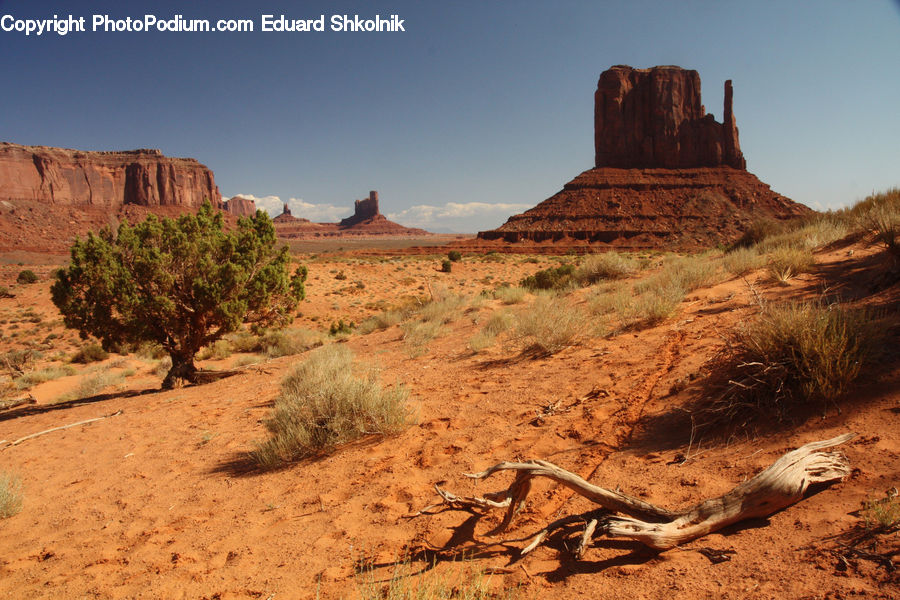 Desert, Outdoors, Bush, Plant, Vegetation, Mountain, Valley