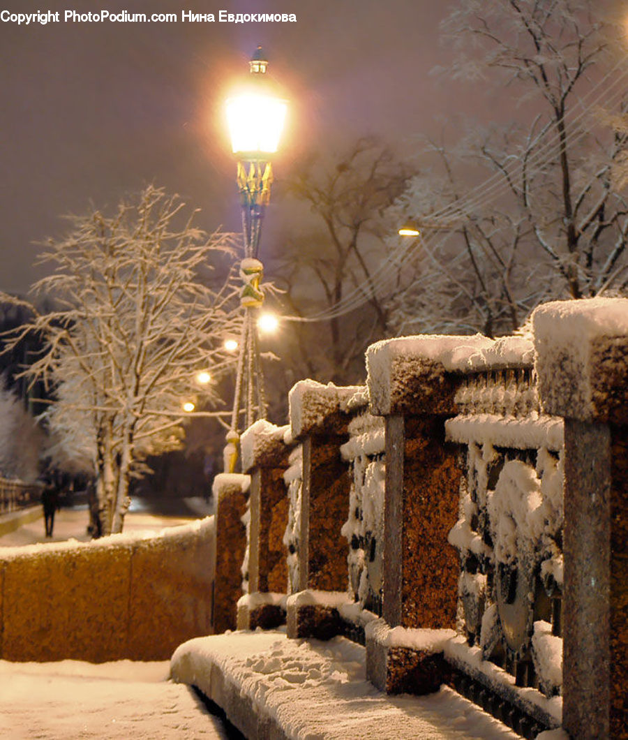 Cake, Dessert, Food, Blizzard, Outdoors, Snow, Weather