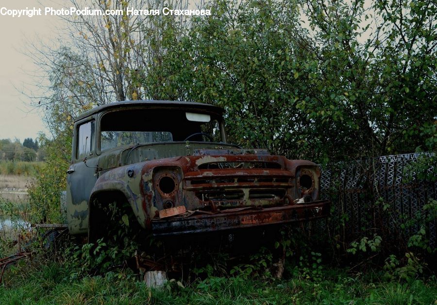 Car, Pickup Truck, Truck, Vehicle, Rust, Hole, Jeep