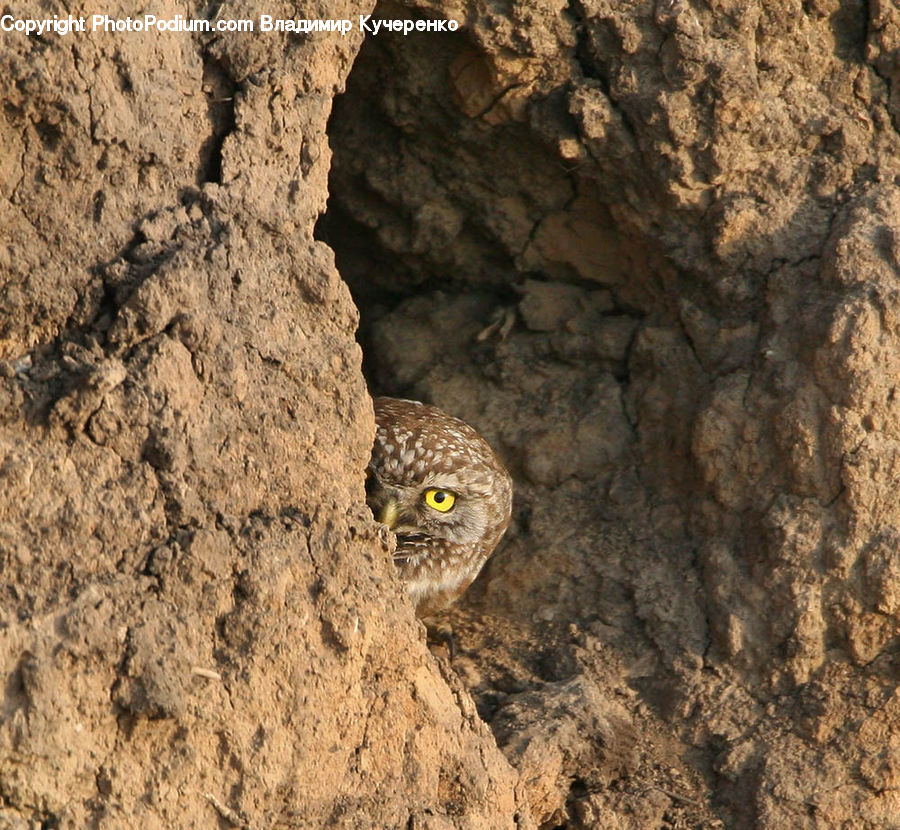 Hole, Soil