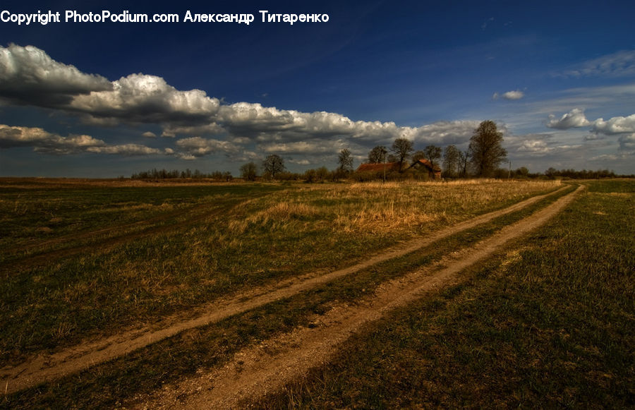 Dirt Road, Gravel, Road, Landscape, Nature, Scenery, Field