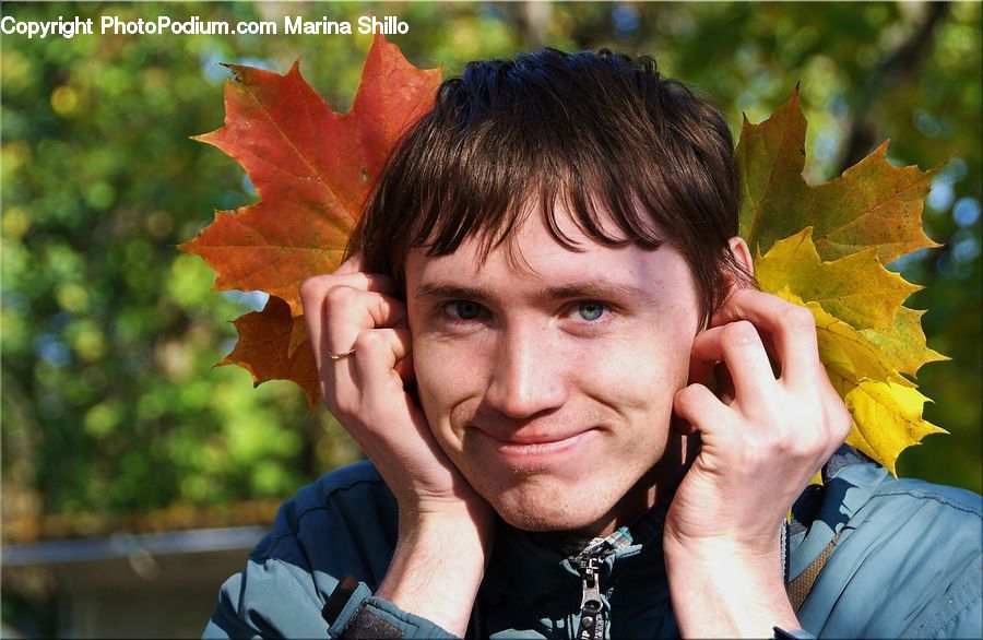 People, Person, Human, Maple, Maple Leaf, Plant, Female