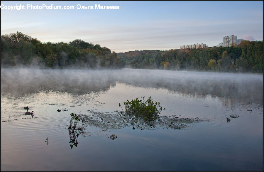 Outdoors, Pond, Water, Lake, Land, Marsh, Swamp