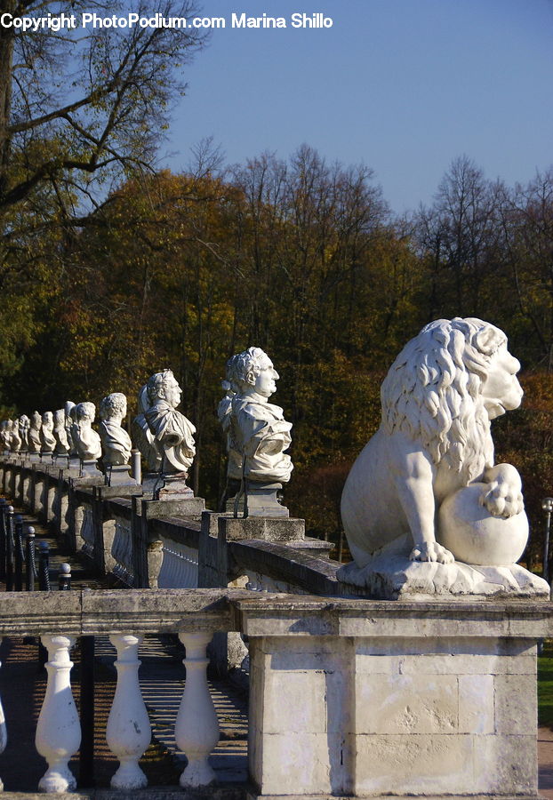 People, Person, Human, Art, Sculpture, Statue, Bust