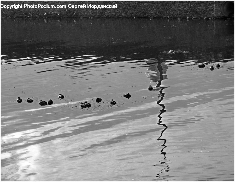 Water, Outdoors, Ripple, Coast, Sea