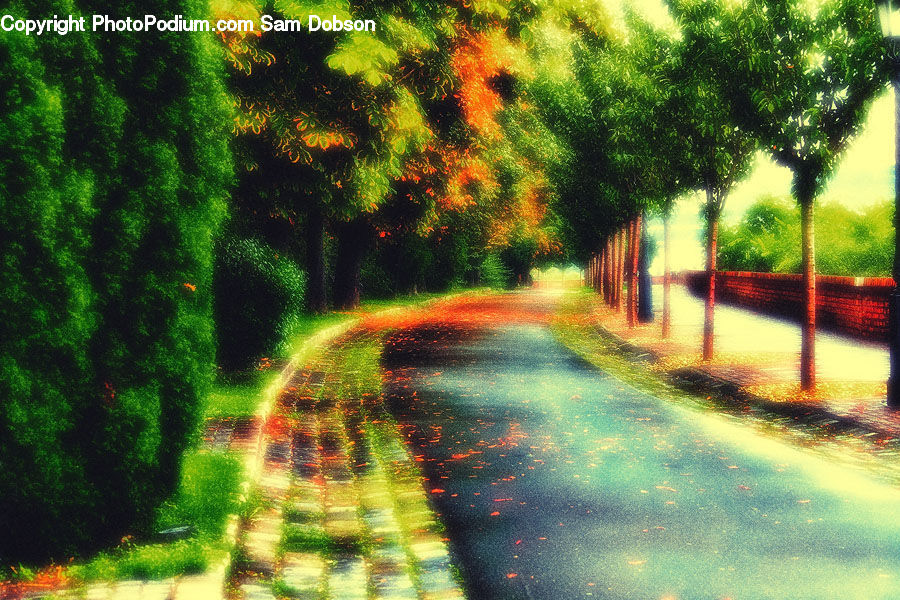 Dirt Road, Gravel, Road, Collage, Poster, Forest, Vegetation