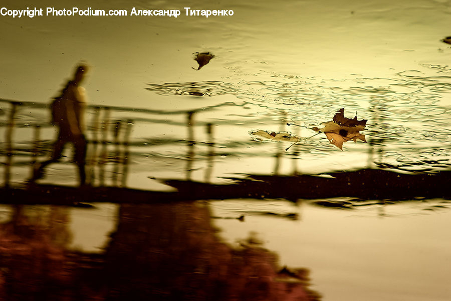 Automobile, Car, Vehicle, Outdoors, Sea, Water, Leisure Activities