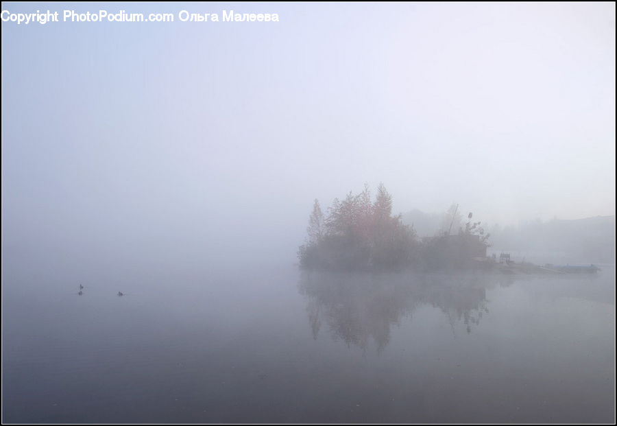 Fog, Mist, Outdoors
