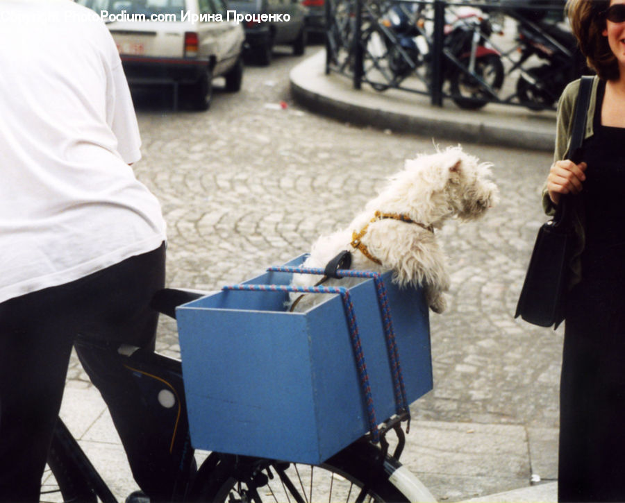 People, Person, Human, Motor, Motorcycle, Vehicle, Automobile
